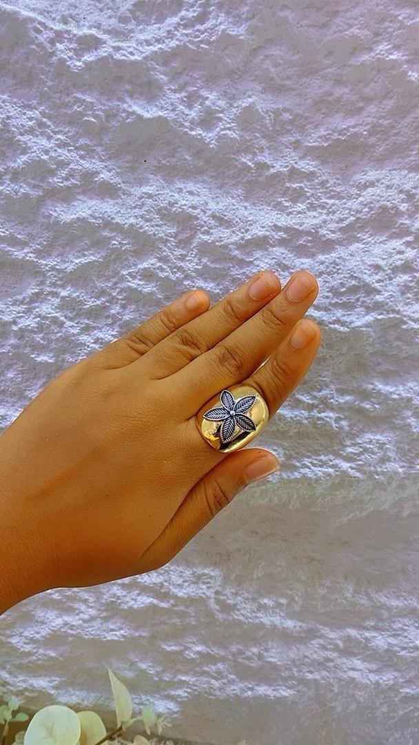 WhatsApp Image 2025-02-18 at 12.02.10 (1)